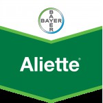 Aliette
