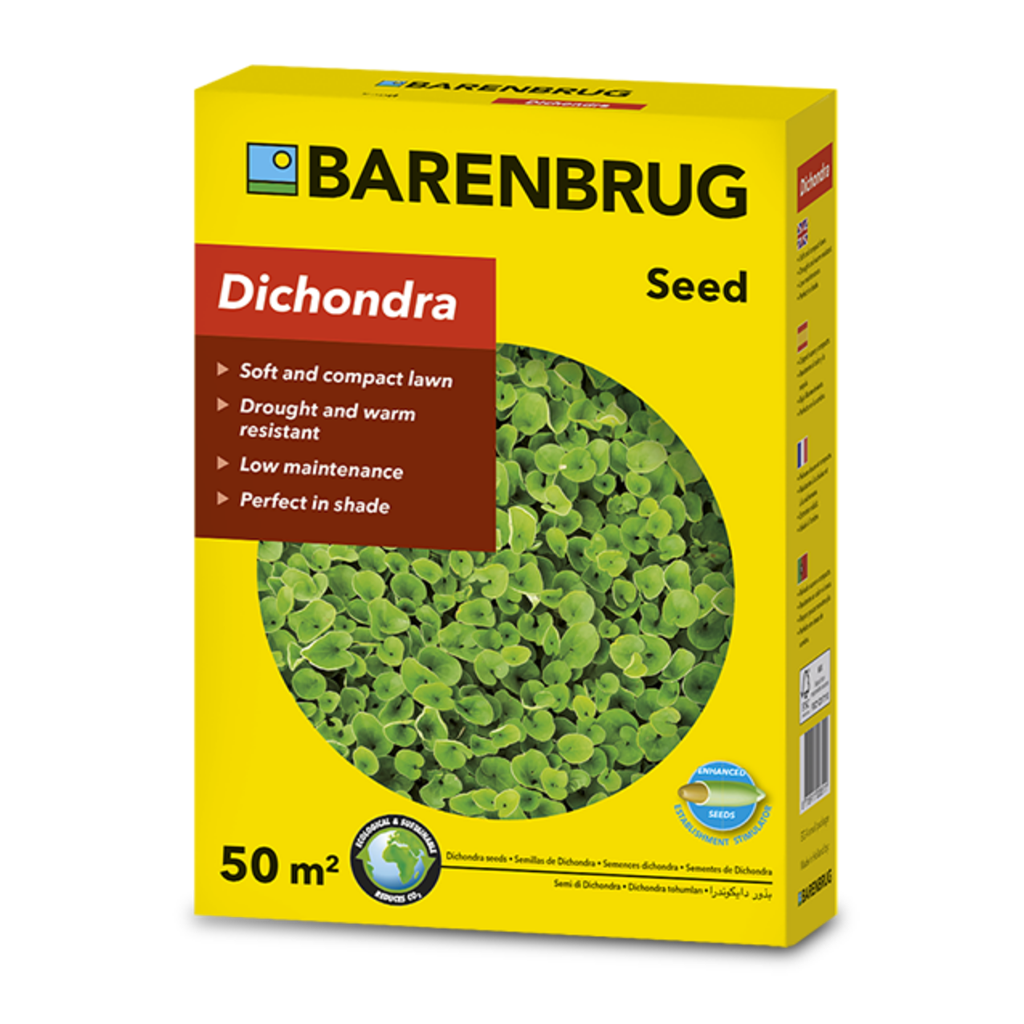 Barenbrug Dichondra zöld talajtakaró