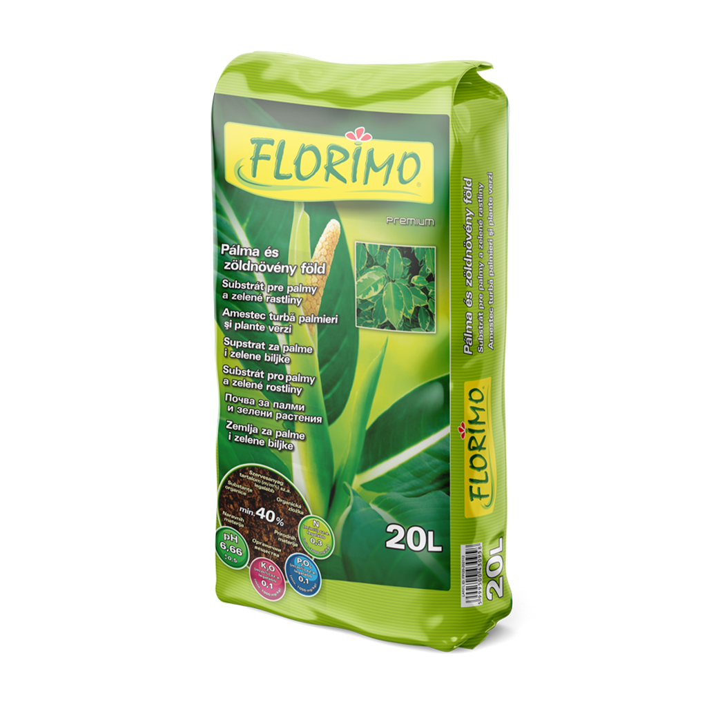 Florimo Pálma és zöldnövény föld