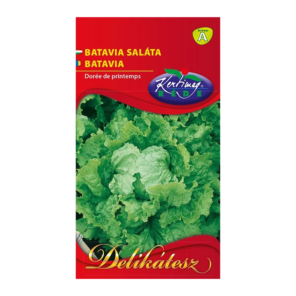 Rédei Batavia saláta