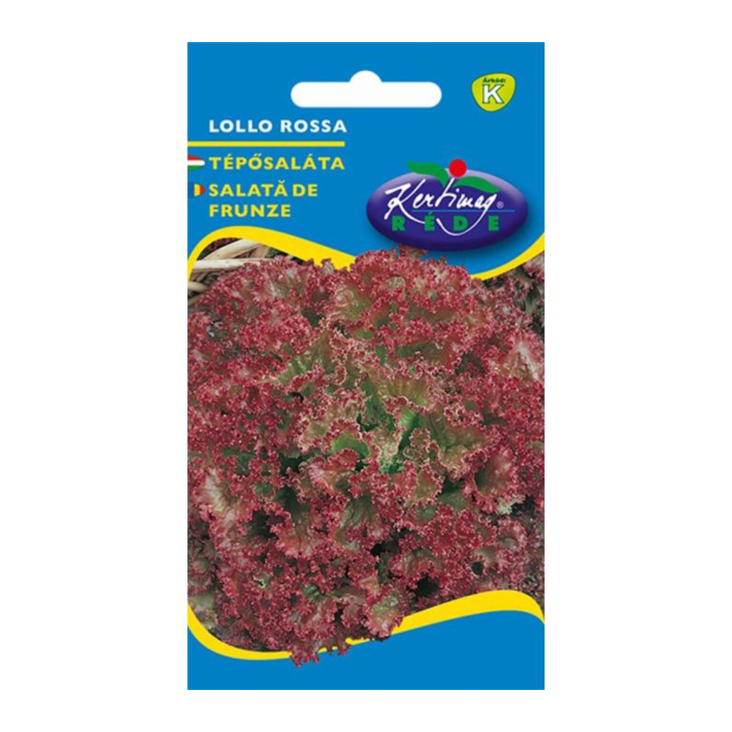 Rédei Lollo Rossa tépősaláta