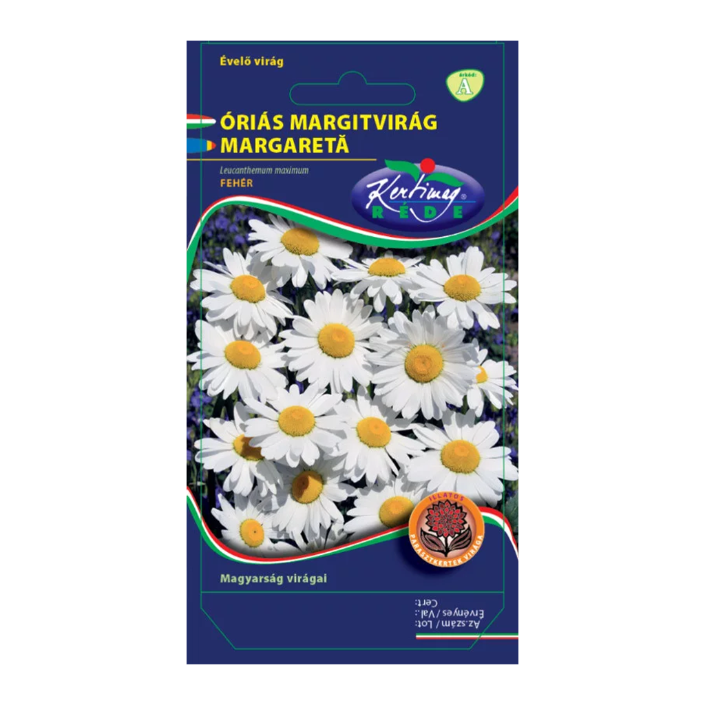 Rédei Fehér óriás margitvirág