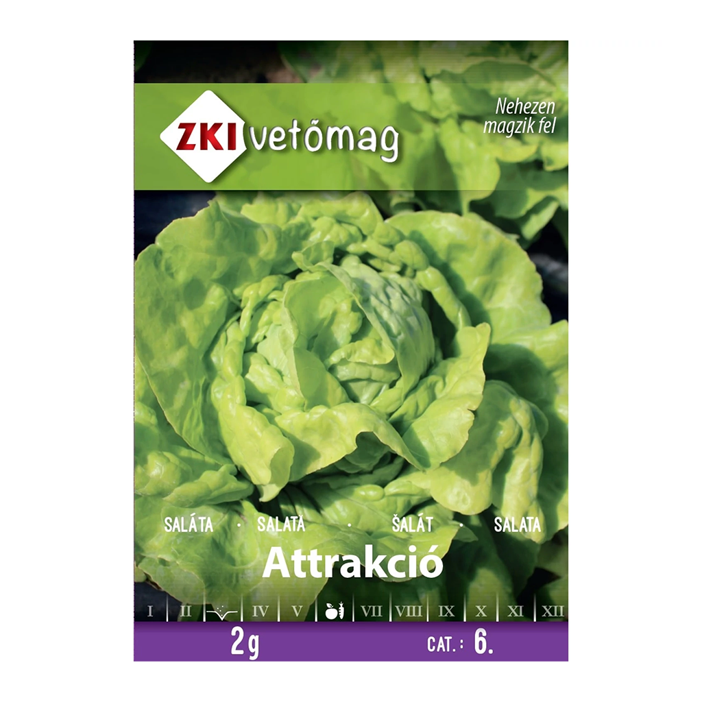 ZKI Attrakció fejes saláta