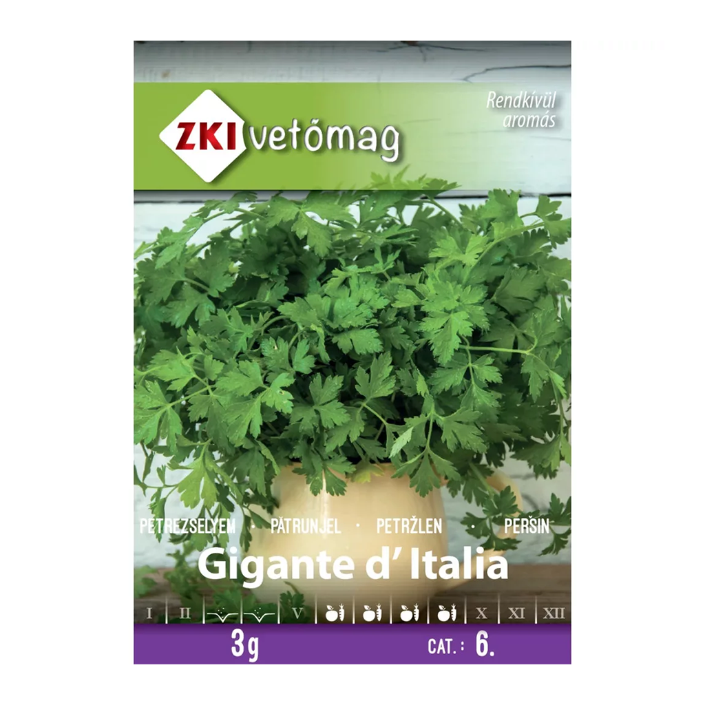 ZKI Gigante d’Italia metélőpetrezselyem