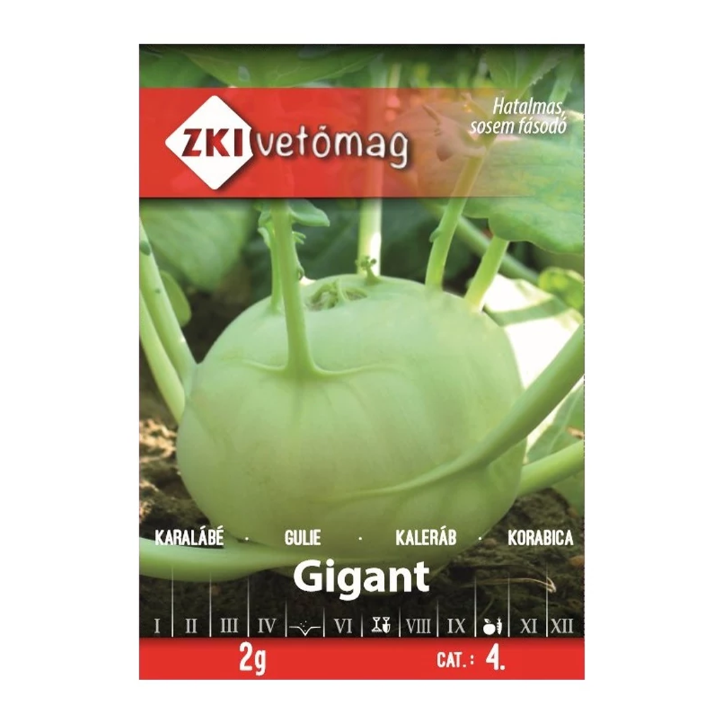 ZKI Gigant karalábé