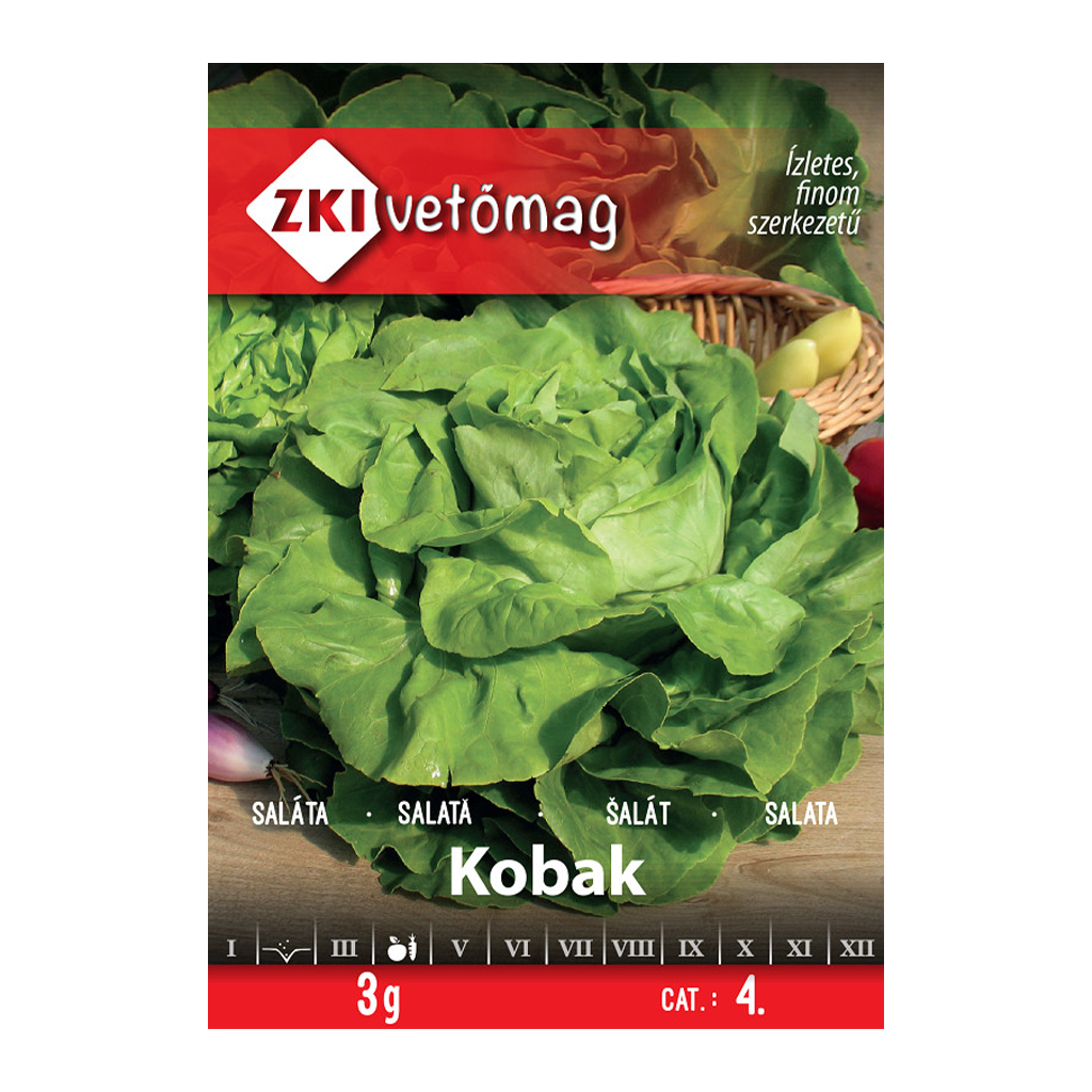 ZKI Kobak fejes saláta