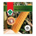 ZKI MV Koppány takarmánykukorica