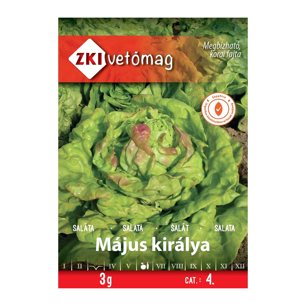 ZKI Május királya fejes saláta