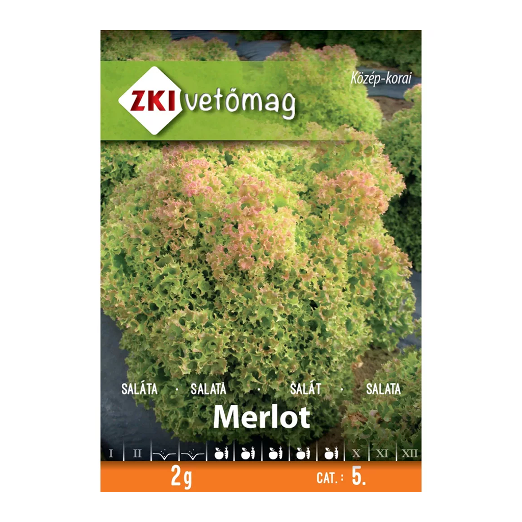 ZKI Merlot tépősaláta