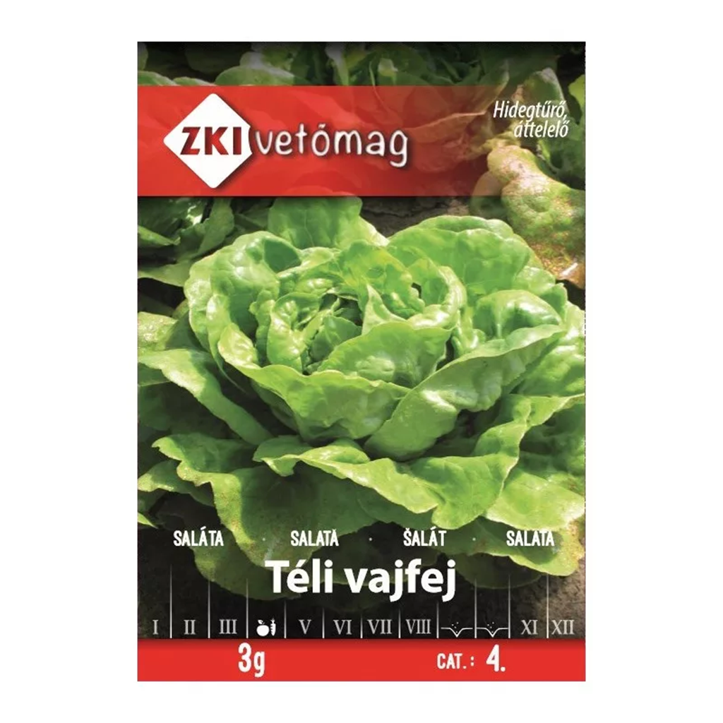 ZKI Téli vajfej fejes saláta