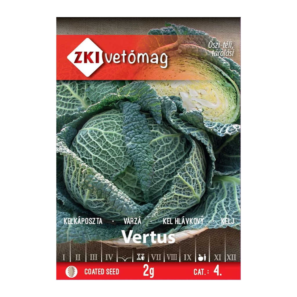 ZKI Vertus kelkáposzta