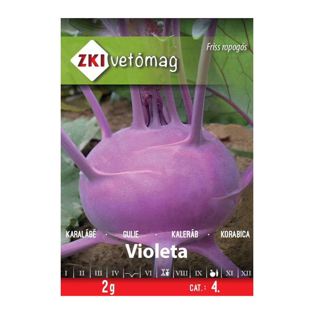 ZKI Violeta karalábé