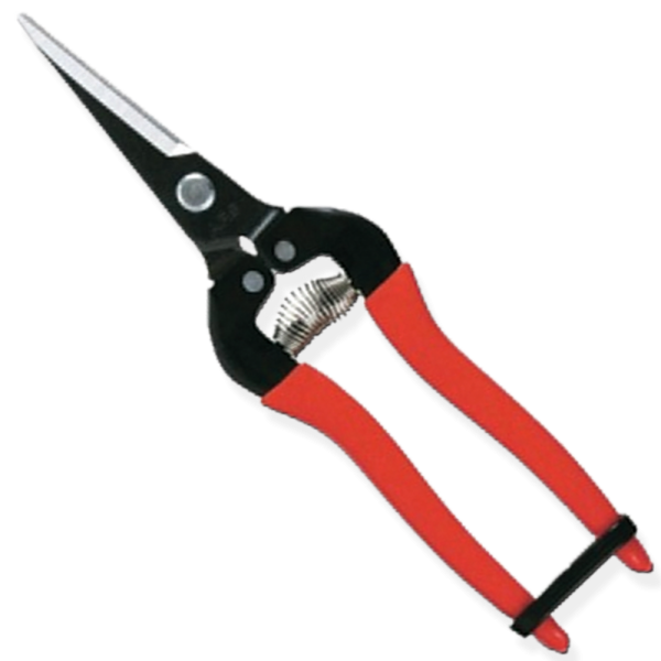 Szüretelő olló 19 cm egyenes