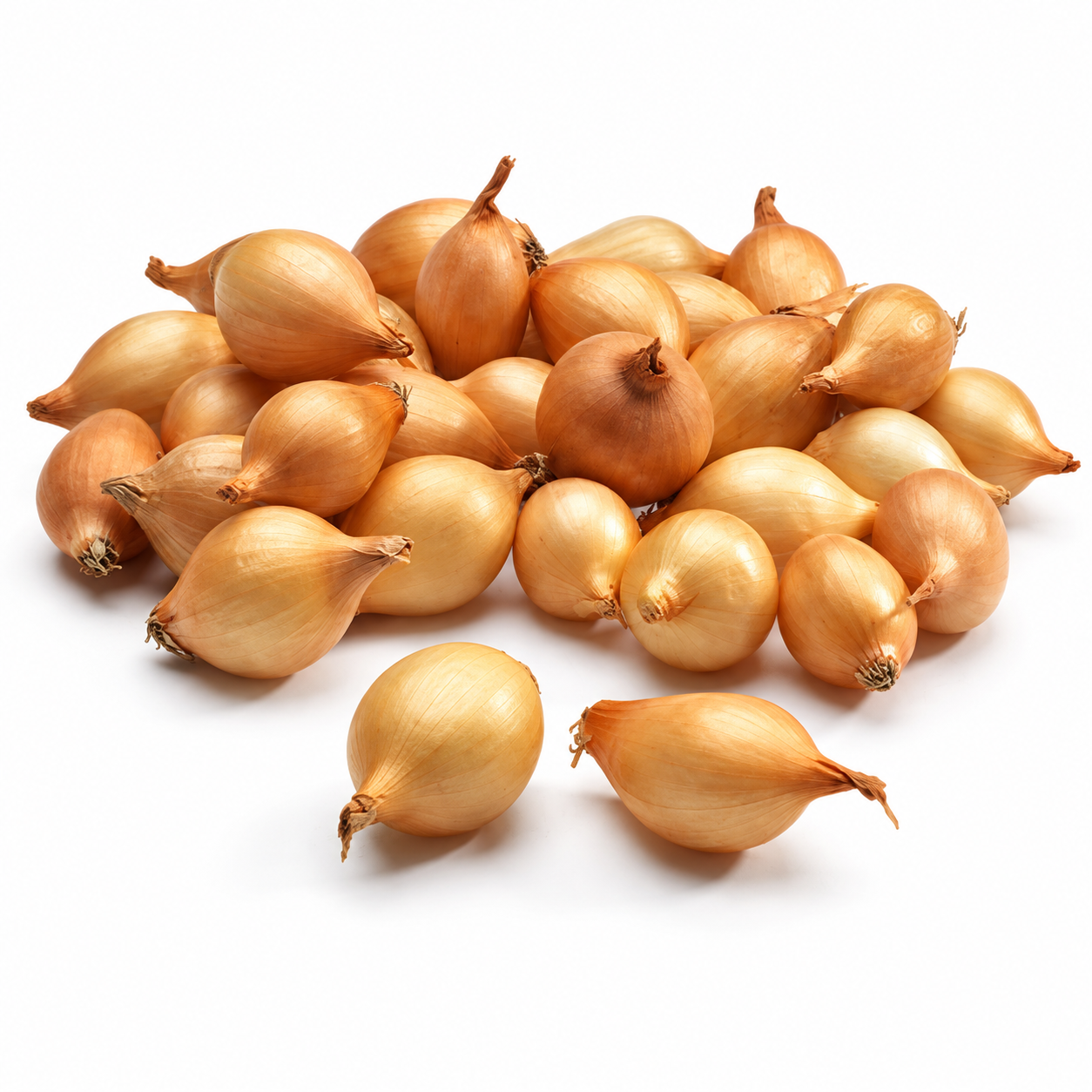 Makói őszi magyar dughagyma 0,5 kg