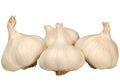 Magyar őszi fokhagyma 50–60 mm – 3 db