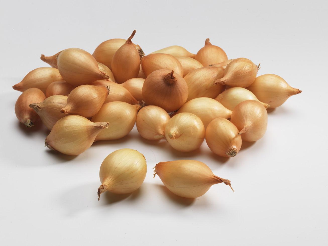 Makói őszi magyar dughagyma 0,5 kg