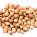 Stuttgarter Riesen – őszi dughagyma, 0,5 kg