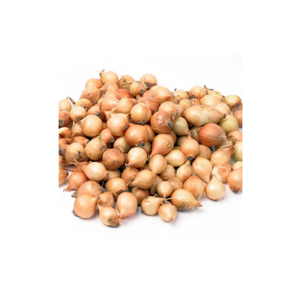 Stuttgarter Riesen – őszi dughagyma, 0,5 kg