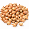 Stuttgarter Riesen – őszi dughagyma, 0,5 kg