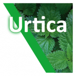 Urtica